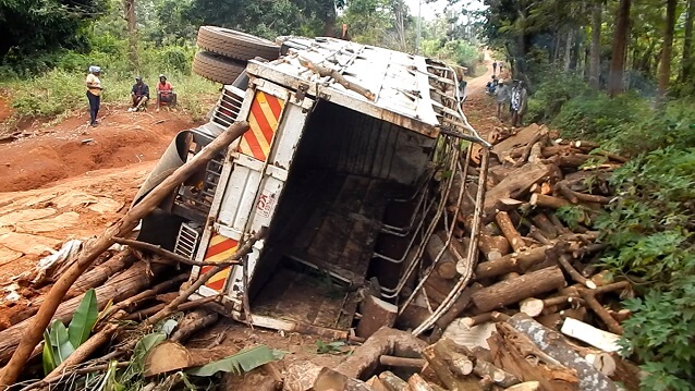 Watch: Lorry carrying firewood overturns