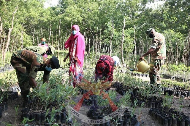 Kenya Forest Service empowers locals in lamu to conserve natural heritage