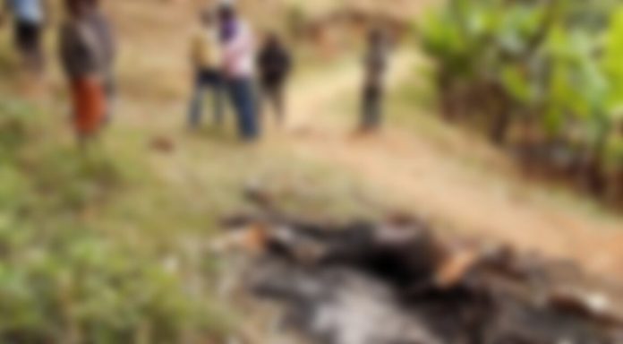 Suspected thief burnt to death