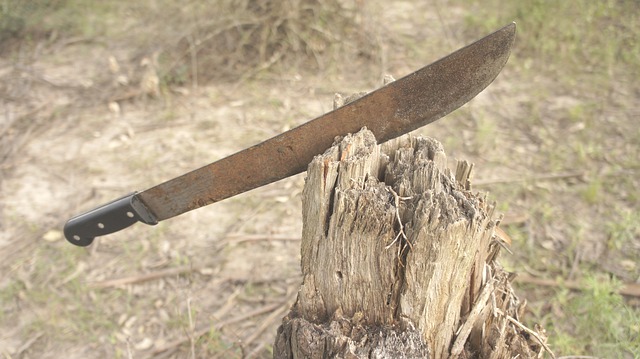 Man cuts off his wife's hands with a machete