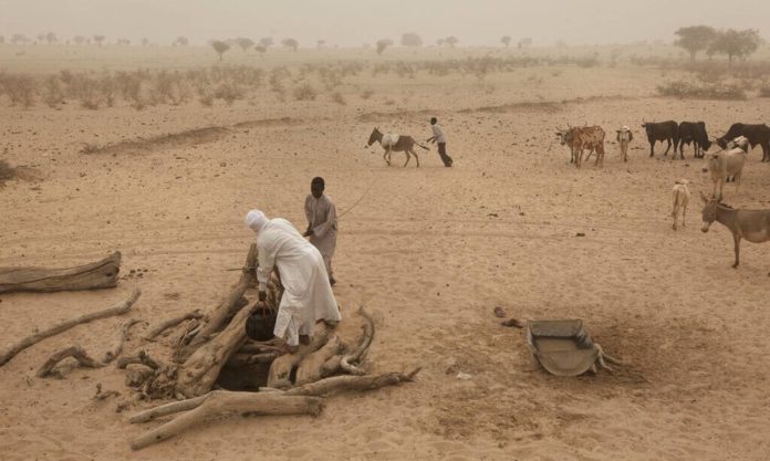 Fierce clashes between cattle breeders and farmers with 22 dead and 18 injured