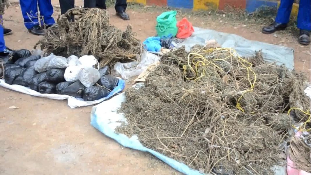 Two police officers arrested for mishandling bhang exhibit