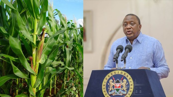 Here Is What President Kenyatta Is Doing To Increase Investment In Agriculture