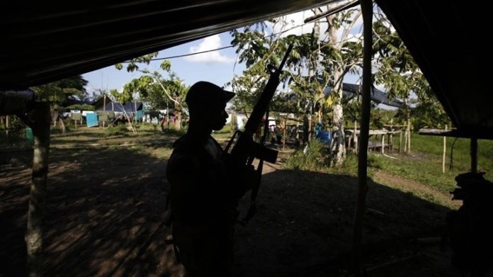 Three FARC members killed in one week