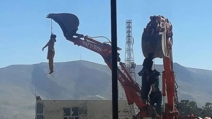 Horror images: Taliban hang bodies from cranes