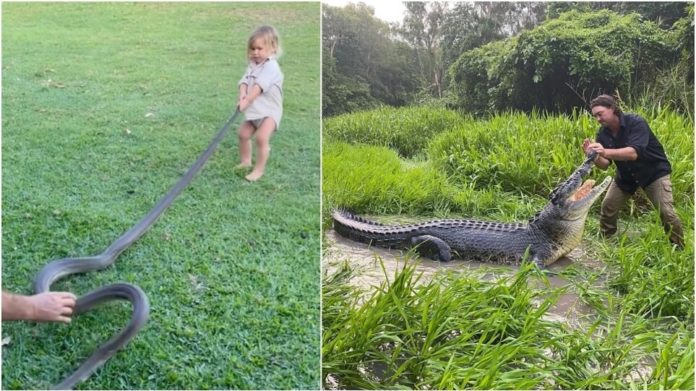 He puts his son to play with a huge snake - Watch video