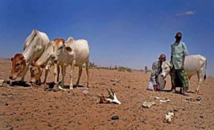 Government To Spend Sh3,000 Per Family On Drought