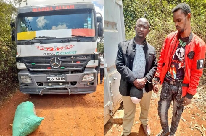 Two suspects in custody after detectives seized 89 bales bhang